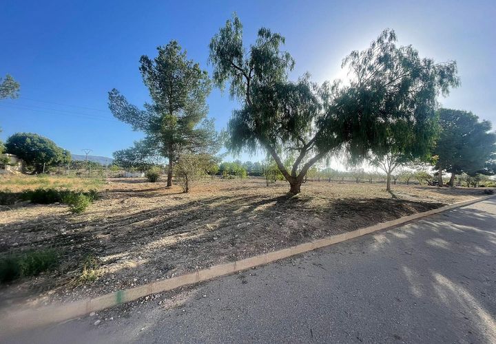 Terra a Ubeda, Alicante, Ubeda - € 40.000 | Ref: ELS9011 - foto 1