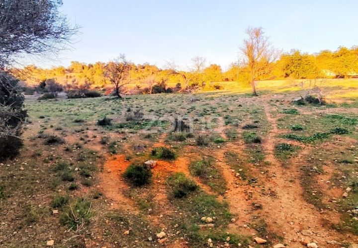 Grond in Silves, Faro, Silves - € 18.000 | Ref: ZMPT562690 - foto 1