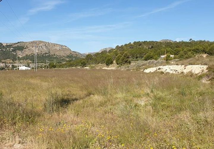 Helårsgrund i La Romana, Alicante, La Romana - € 63.000 | Ref: LJ1476 - foto 1