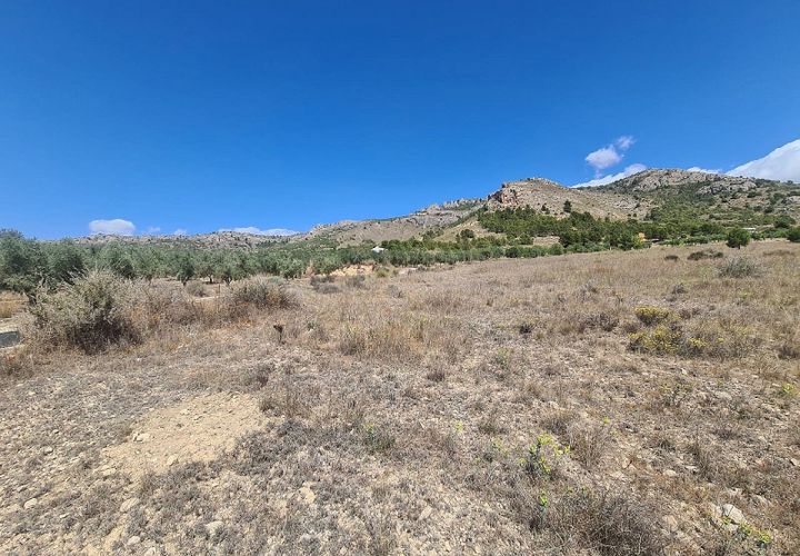 Terra a Sax, Alicante, Sax - € 39.995 | Ref: IVD13663 - foto 1