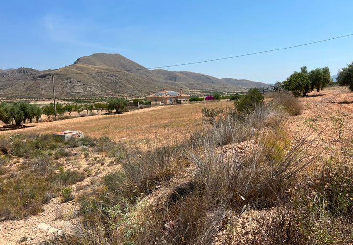 Terra a Barbarroja, Alicante, Barbarroja - € 50.000 | Ref: AMAM-PARCMJ - foto 1
