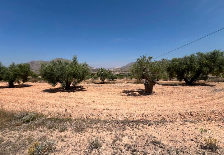 Helårsgrund i Barbarroja, Alicante, Barbarroja - € 65.000 | Ref: AMAM-PARCMJCU - foto 1