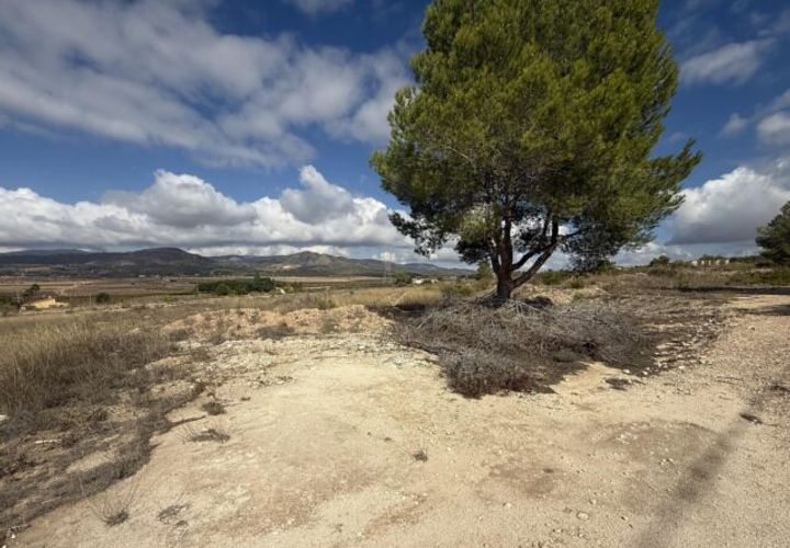 Helårsgrund i Monovar, Alicante, Monovar - € 12.000 | Ref: CC0644 - foto 1
