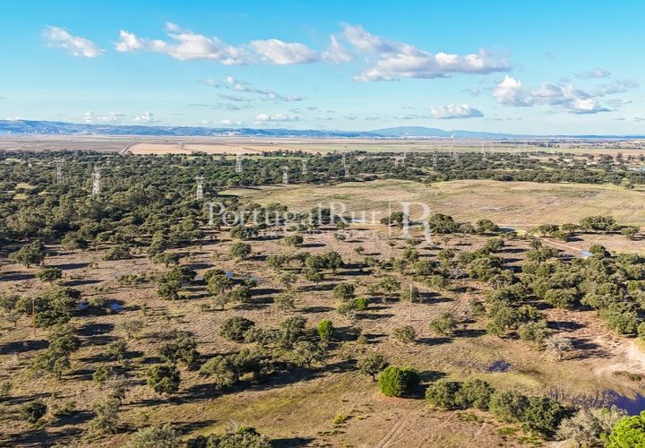 Terra a Samora Correia, Santarem, Samora Correia - € 1.500.000 | Ref: FG382 - foto 1