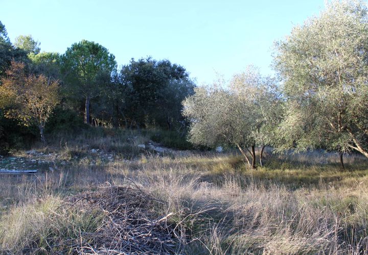 Terra a Uchaud, Gard, Uchaud - € 566.000 | Ref: 0069-PR - foto 1