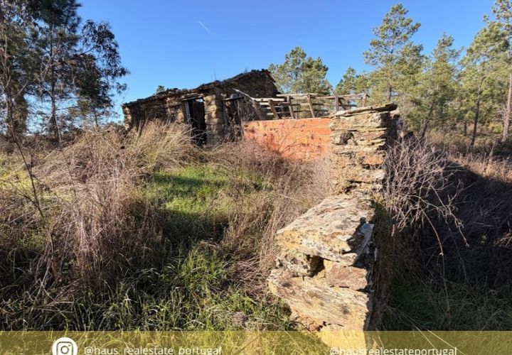Farm i Castelo Branco, Castelo Branco, Castelo Branco - € 23.500 | Ref: MAS_12581 - foto 1