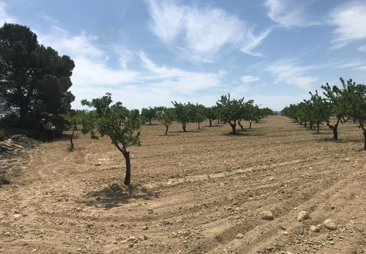 Helårsgrund i Monovar, Alicante, Monovar - € 47.000 | Ref: CF3191 - foto 1