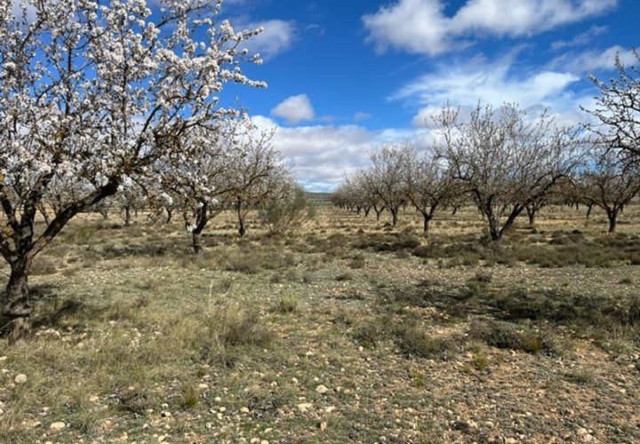Helårsgrund i Yecla, Murcia, Yecla - € 50.000 | Ref: CF3148 - foto 1