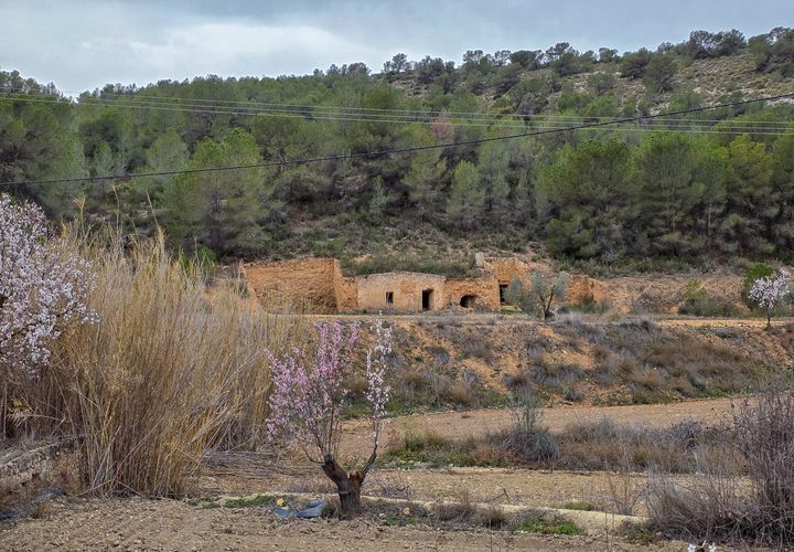 Terra a La Zarza, Murcia, La Zarza - € 49.950 | Ref: CF3146 - foto 1