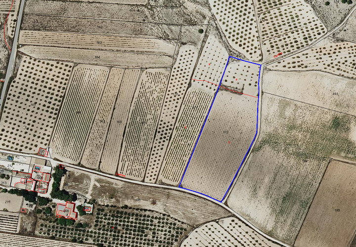 Helårsgrund i Pinoso, Alicante, Pinoso - € 52.000 | Ref: CF3000 - foto 1