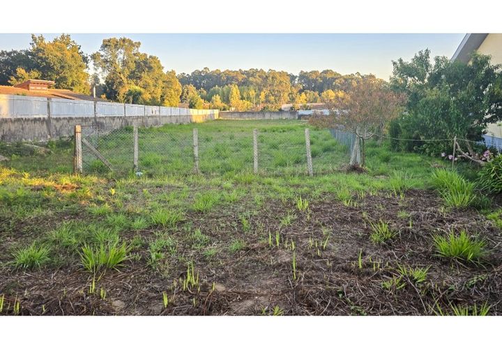 Terra a Grijo, Porto, Grijo - € 110.000 | Ref: TER_68.Mi.002 - foto 1