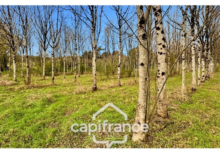 Villa i Monflanquin, Lot-et-Garonne, Monflanquin - € 110.000 | Ref: 340937055828 - foto 1