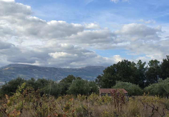 Terra a Ferro, Castelo Branco, Ferro - € 55.000 | Ref: TER_156 - foto 1