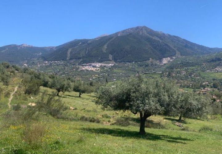 Finca i Venta Baja, Malaga, Venta Baja - € 219.000 | Ref: R-olivar - foto 1