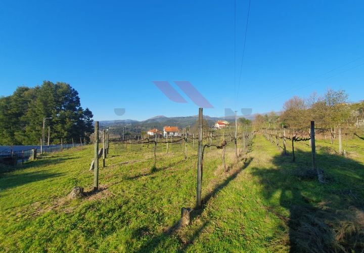 Terra a Azere, Viana do Castelo, Azere - € 45.000 | Ref: AVV-2507-NS-1225 - foto 1