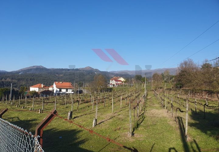 Terra a Azere, Viana do Castelo, Azere - € 70.000 | Ref: AVV-2505-NS-1125 - foto 1