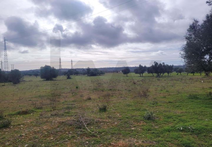 Helårsgrund i Algoz, Faro, Algoz - € 75.000 | Ref: KWPT-025352 - foto 1