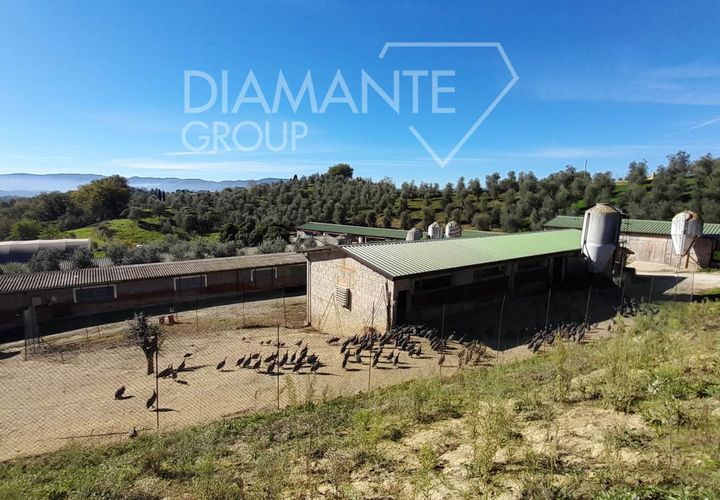 Farm i Arezzo, Arezzo, Arezzo - € 1.250.000 | Ref: AZ389 - foto 1