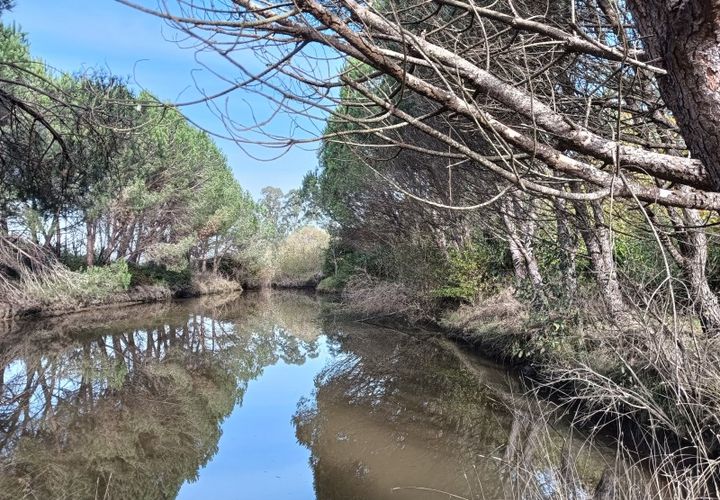 Helårsgrund i Arouca, Aveiro, Arouca - € 85.000 | Ref: AV25/208 - foto 1