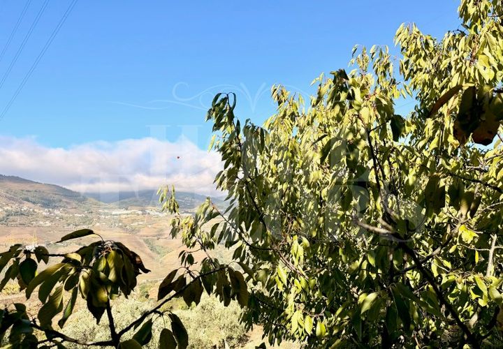 Terra a Barro, Aveiro, Barro - € 60.000 | Ref: HT_50211 - foto 1