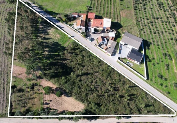 Terreno en Carvalhal, Leiria, Carvalhal - € 150.000 | Ref: PTC20250116.3 - photo 1