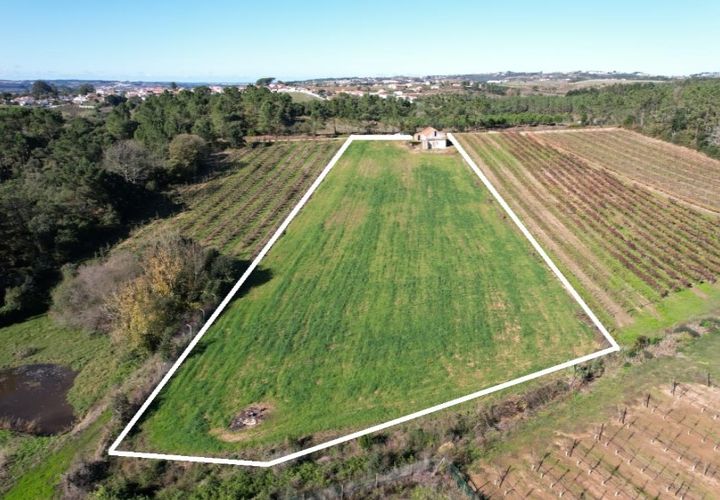 Landejendom i Carvalhal, Leiria, Carvalhal - € 75.000 | Ref: PTC20250116.2 - foto 1