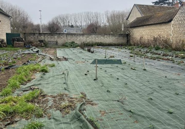 Helårsgrund i Ingrandes, Vienne, Ingrandes - € 22.800 | Ref: 261_LHT-0025440 - foto 1