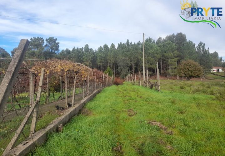 Helårsgrund i Serta, Castelo Branco, Serta - € 25.000 | Ref: SO14 - foto 1