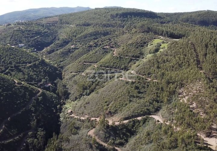 Helårsgrund i Monchique, Faro, Monchique - € 127.500 | Ref: ZMPT583526 - foto 1