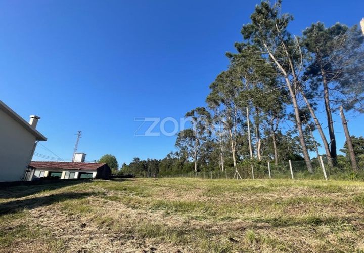 Terra a Silvalde, Aveiro, Silvalde - € 170.000 | Ref: ZMPT576416 - foto 1