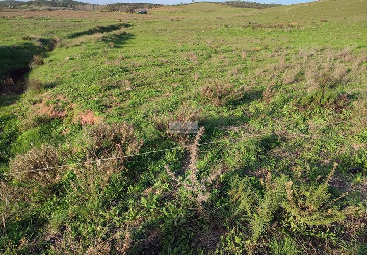 Terra a Sagres, Faro, Sagres - € 30.000 | Ref: T0265 - foto 1