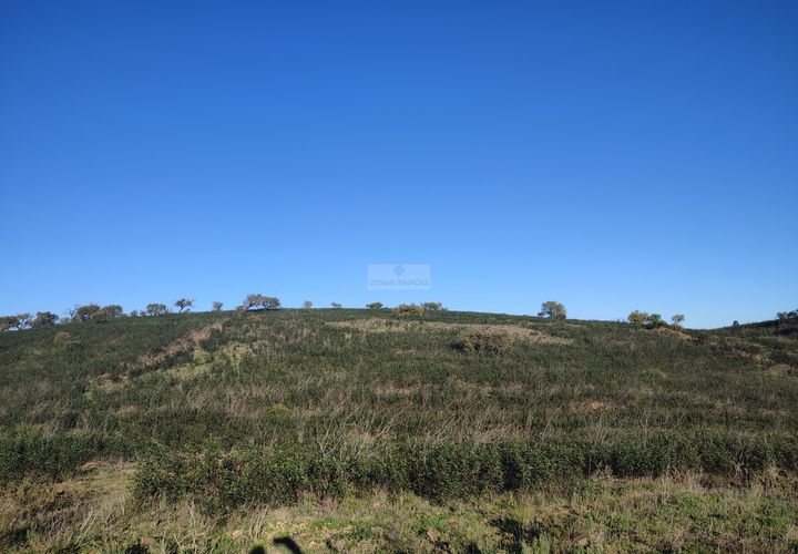 Terra a Sagres, Faro, Sagres - € 150.000 | Ref: T0363 - foto 1
