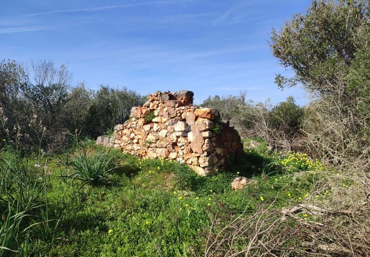 Terra a Sagres, Faro, Sagres - € 99.000 | Ref: T0379 - foto 1