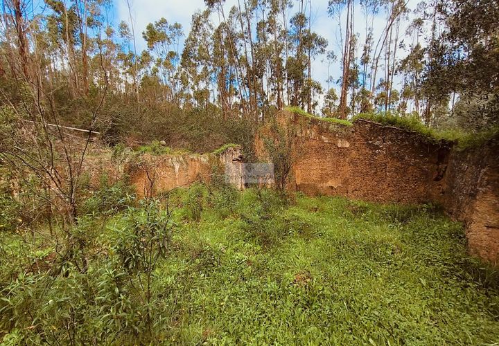 Helårsgrund i Monchique, Faro, Monchique - € 540.000 | Ref: T0388 - foto 1
