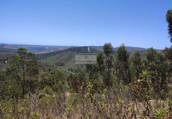 Helårsgrund i Monchique, Faro, Monchique - € 350.000 | Ref: T0438 - foto 1