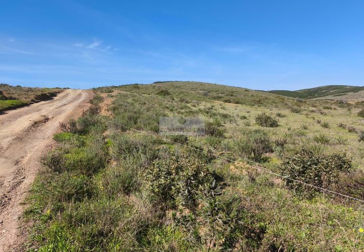Terra a Sagres, Faro, Sagres - € 60.000 | Ref: T0473 - foto 1