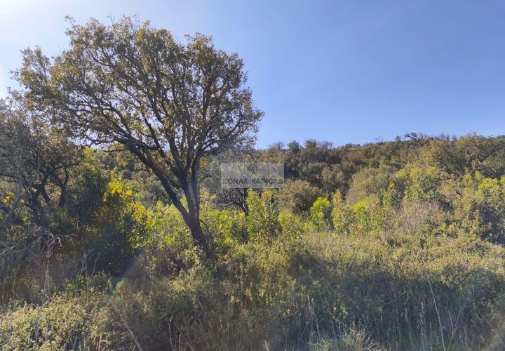 Terra a Sagres, Faro, Sagres - € 35.000 | Ref: T0474 - foto 1