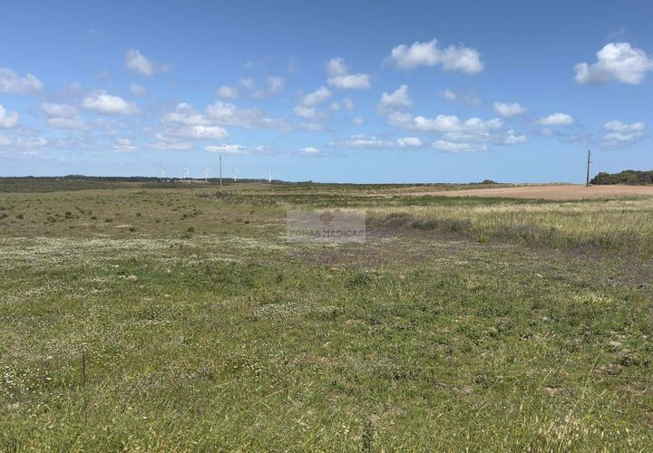 Terra a Sagres, Faro, Sagres - € 35.000 | Ref: T0503 - foto 1