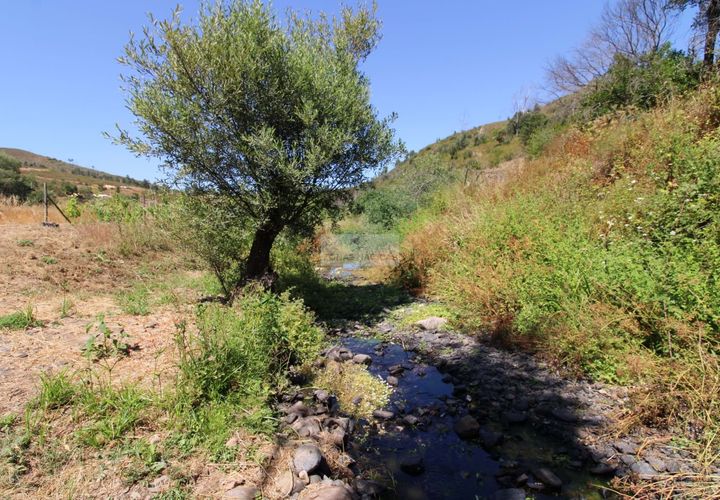 Ruïna a Monchique, Faro, Monchique - € 155.000 | Ref: R0086 - foto 1