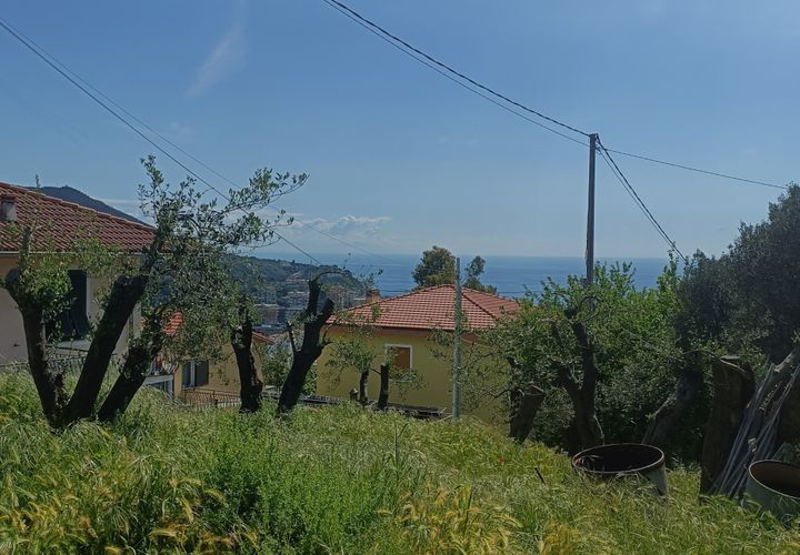Terra a Varazze, Savona, Varazze - € 165.000 | Ref: 29741 - foto 1