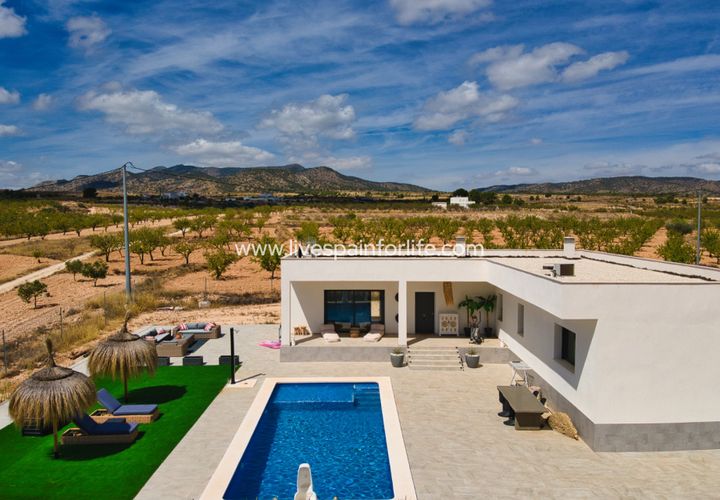 Landejendom i Pinoso, Alicante, Pinoso - € 399.900 | Ref: Pin BS - foto 1