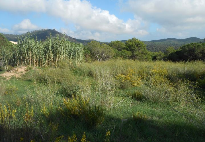Terra a Barcelona, Barcelona, Barcelona - € 50.000 | Ref: 762031 - foto 1