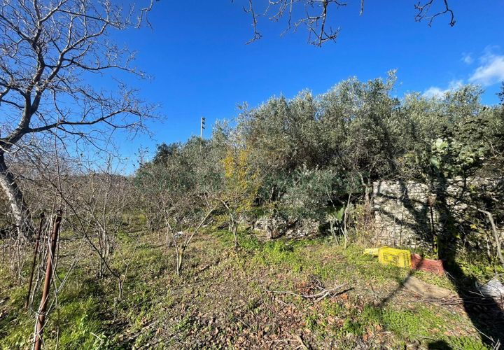 Terra a Avella, Avellino, Avella - € 80.000 | Ref: 459532 - foto 1