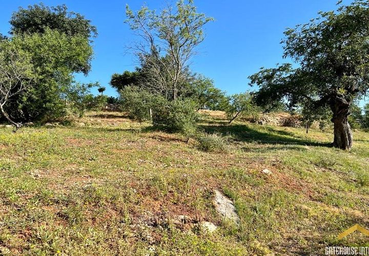 Helårsgrund i Almancil, Faro, Almancil - € 420.000 | Ref: xtp_9690 - foto 1