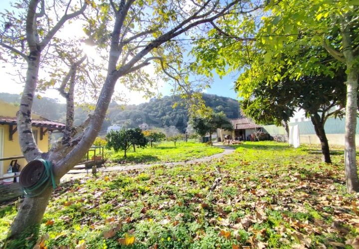 Farm i Almocageme, Lisbon, Almocageme - € 900.000 | Ref: MM52985MC - foto 1