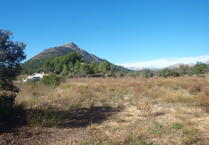 Terra a Murla, Alicante, Murla - € 100.000 | Ref: 001795 - foto 1