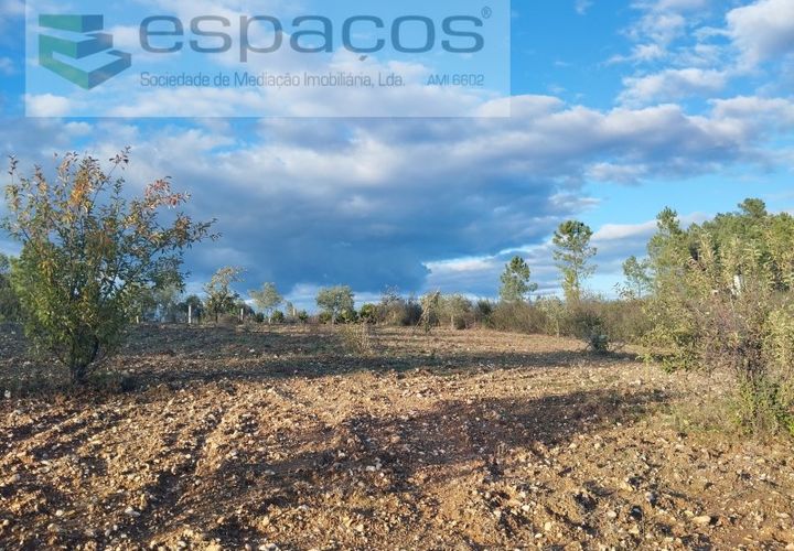 Terreno en Castelo Branco, Castelo Branco, Castelo Branco - € 19.500 | Ref: 5725/AC - photo 1