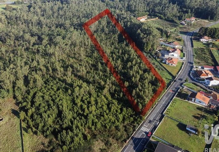 Terra a Estarreja, Aveiro, Estarreja - € 65.000 | Ref: 775175 - foto 1
