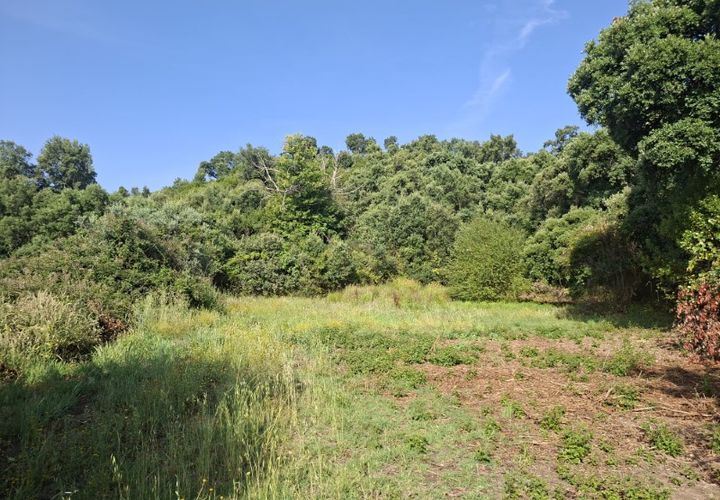 Tomt i Fundao, Castelo Branco, Fundao - € 45 000 | Ref: W6436 - foto 1
