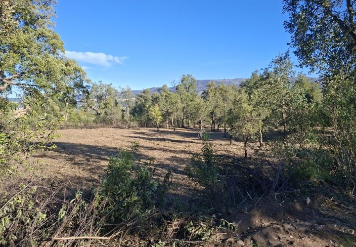 Helårsgrund i Fundao, Castelo Branco, Fundao - € 15.000 | Ref: W6435 - foto 1